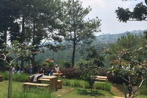 Un café moderne avec vue sur la nature, illustrant le dilemme entre promotion sur Instagram et création de site web.