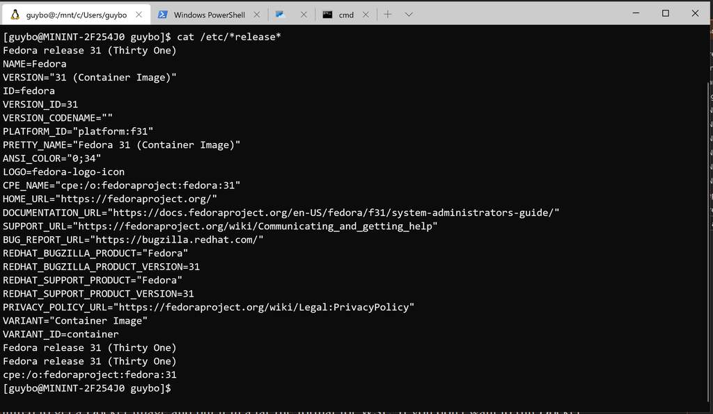 Cara Jalankan Custom Linux Shell di Windows Terminal dengan WSL